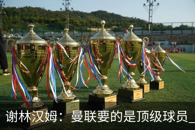 谢林汉姆：曼联要的是顶级球员 M费不够好没必要为错过他沮丧
